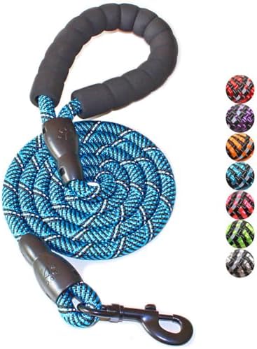 BAAPET 2/4/5/6 FT Dog Leash with Comfortable Padded Handle and Highly Reflective Threads for Small Medium and Large Dogs (5FT-1/2'', Black Blue) by BAAPET