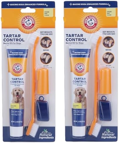 Arm & Hammer Tartar Control Dog Dental Kit, Banana Mint, 3-Piece, 2-Pack by ArmHammer