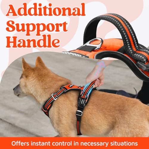 rabbitgoo Dog Harness Small Sized, No Pull 3 Buckles Easy On & Off - Image 4