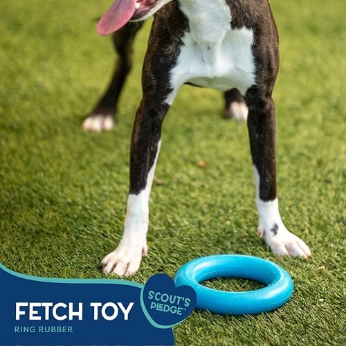 Good Scout Rubber Ring for Tugging & Chewing, Best Fetch Toy for Aggressive Chewers, No Stuffing Toy for Medium & Large Dogs - Image 2