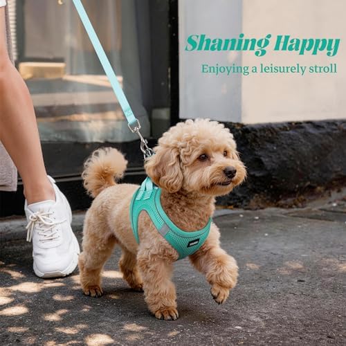 No Pull Dog Puppy Harness and Leash Set Reflective Mesh Vest X-Small - Image 6