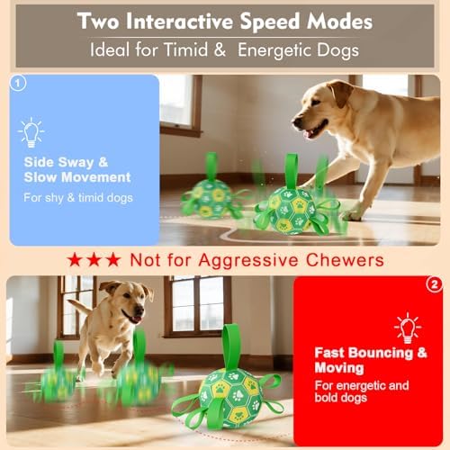 Interactive Dog Toys Dog Soccer Ball to Keep Them Busy(Green) - Image 2
