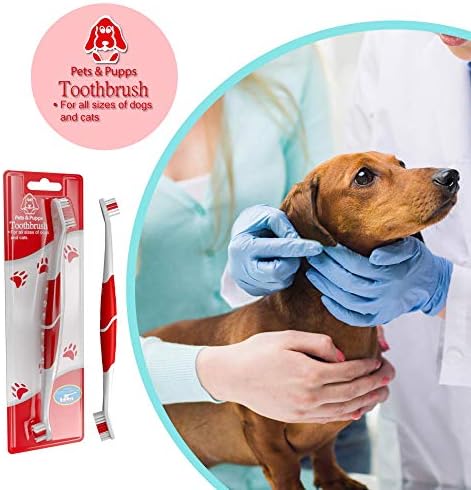 Pet Toothbrush for Dogs, Cats with Soft Bristles - Easy Teeth Cleaning & Dental Care, Non Slip Dual Head Dog Toothbrush for Medium & Large Pets, Toothpaste Not Included, Pack of 1 Green - Image 6