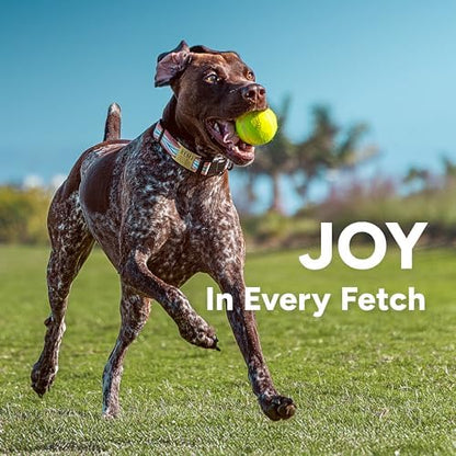 GoSports Pets 24 Inch Dog Ball Launcher - Ergonomic Tennis Ball Thrower for Dogs 20+ lbs - Includes Tosser and (2) 2.5 Inch Balls for Fetch - Image 6