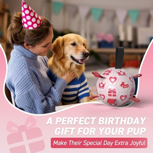 QDAN Valentines Gift Dog Toys, 8 Inch Dog Soccer Ball with Straps, Pink - Image 2