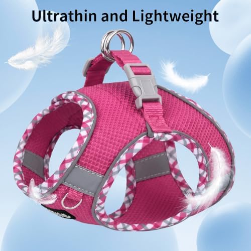 AIITLE Teacup Puppy Harness and Leash with Escape-Proof Design, Hot-Pink, S - Image 6