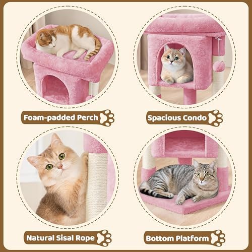 Yaheetech 23.5in Small Low-Profile Cat Tree Condo with Scratching Posts - Image 4