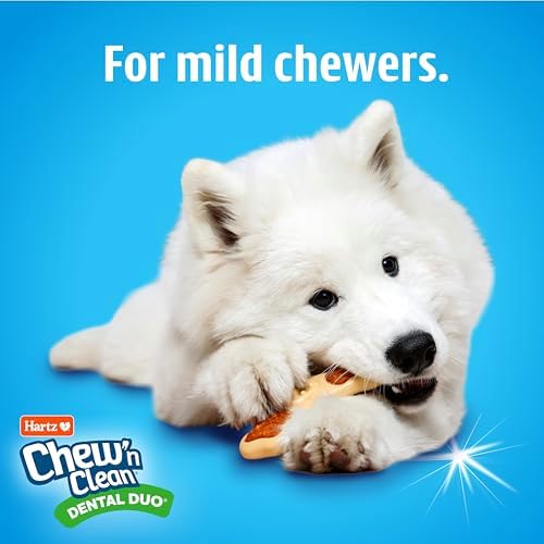 Hartz Chew ‘n Clean Chew Toy and Treat in One Chicken Flavored Tri-Point Dog Toy, Medium - Image 4
