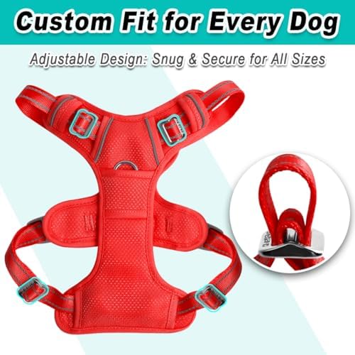 BARKBAY Dog Harness for Large Dog No Pull Mesh 2 Clips Dog Vest - Image 6