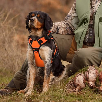 WINGOIN Orange Tactical Dog Harness for Large Dogs,No Pull Dog Harness - Image 6