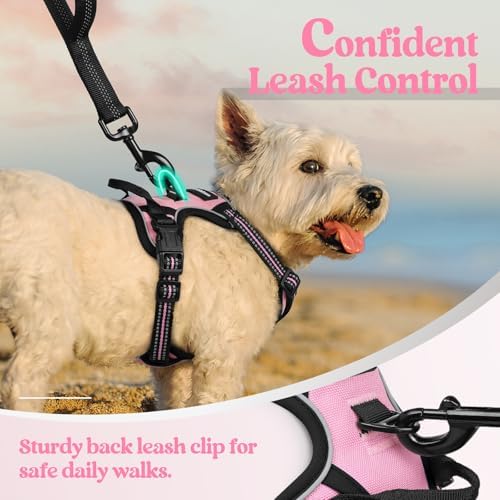 rabbitgoo Dog Harness No Pull with 2 Leash Clips, Adjustable Soft Padded, Reflective Oxford No Choke Pet Vest with Easy Control Handle for Puppy, Pink, XS - Image 6