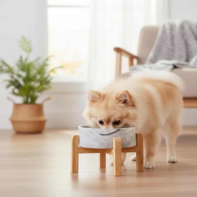 Elevated/Raised Ceramic Dog Bowl with Bamboo Stand,Marble Pattern 6 Inch 3.6 Cups Non Slip Heavy Weighted Single Pet Dish, for Small Medium Breed & Cats,Reduces Neck Strain Marble Grey