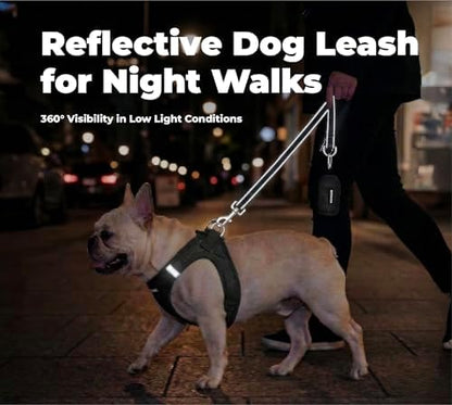Best Pet Supplies Voyager Nylon Dog Leash - Black, Small - Image 4