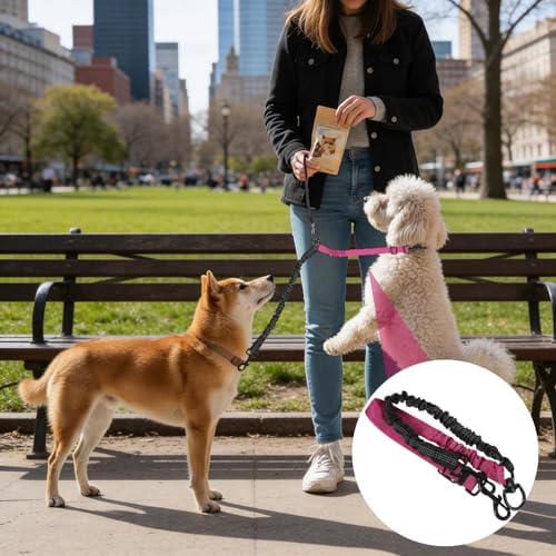 Double Dog Leash, 360° Swivel No Tangle Dual Lead for Two Size Dog - Image 2
