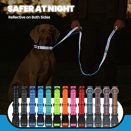 VIVAGLORY Double Handle Dog Leash Twingrip, 5ft x 1in, M, Blue - Image 5