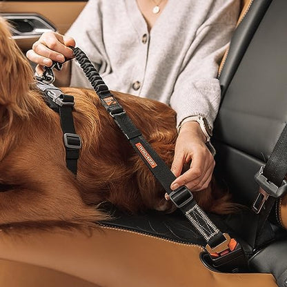 EzyDog Zero Shock Click - Bungee Dog Seat Belt Car Restraint - 20in - 26in - Image 5