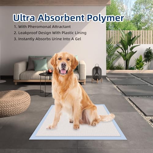 HONEY CARE All-Absorb, XXL 30"x36", 30 Count, Dog and Puppy Training Pads, Ultra Absorbent and Odor Eliminating, Leak-Proof 5-Layer Potty Training Pads with Quick-Dry Surface, Blue, A39 - Image 5
