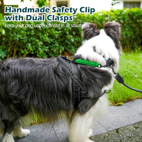 PetBonus Dog Collar Safety Clip, Handmade Prong Collar to Harness Connector - Image 4