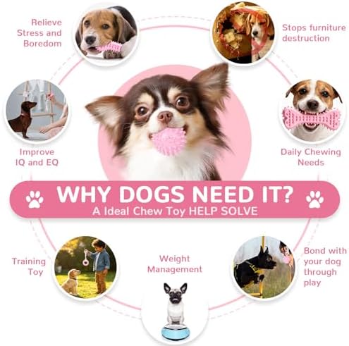 Puppy Chew Toys 6 Pack for Small Dogs, Teething Toys for Puppy Easy Clean Rubber Bone Star Stick Donut Slipper Spiky Ball Set for Small Breed Teething Relief (Dogbed not Included) - Image 3