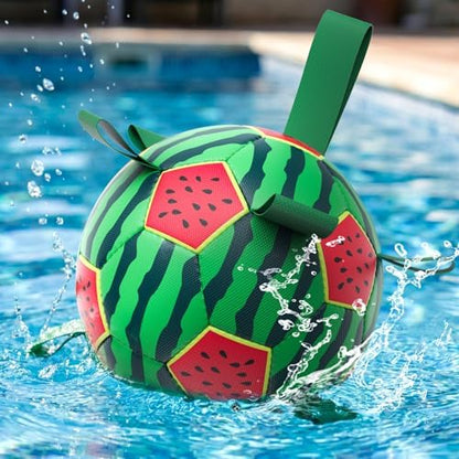 QDAN Dog Water Pool Toys: Dog Soccer Ball with Straps, Waterproof Dog Balls Swimming Beach Balls for Summer Outdoor Games (6 Inch) by QDAN