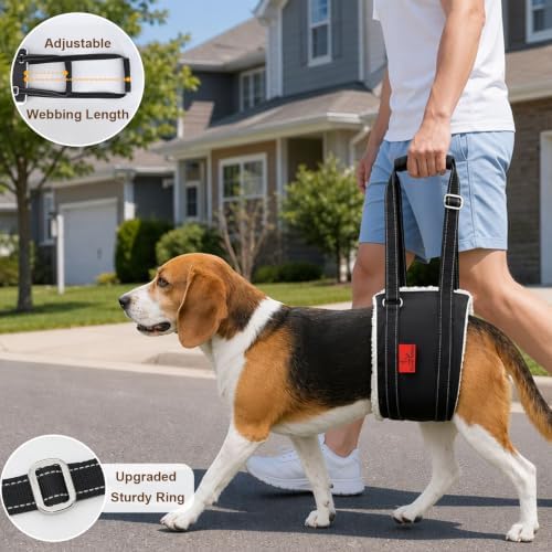 Dog Lift Harness - Adjustable Sling for Rear Legs with Soft Support for Senior, Injured, Disabled Dogs After ACL Surgery - Helping Pets with Canine Aid and Rehab Support (M) - Image 2