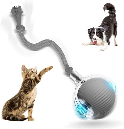 Interactive Rolling Dog Ball, 2026 New Self Rolling Dog Ball Interactive Cat Toys Automatic Cat Toy Self Moving Dog Toys, 360° Smart Automatic Toy Electric (Gray)