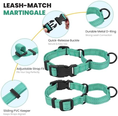 VIVAGLORY Double Handle Dog Leash Twingrip, 5ft x 1in, M2, Turquoise - Image 4