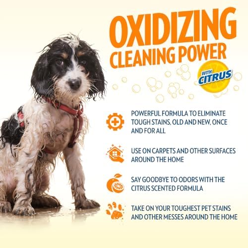 OUT! PetCare Orange Oxy Stain & Odor Remover | Oxy Clean Pet Stain and Odor Eliminator | 32 oz (Pack of 2) - Image 4