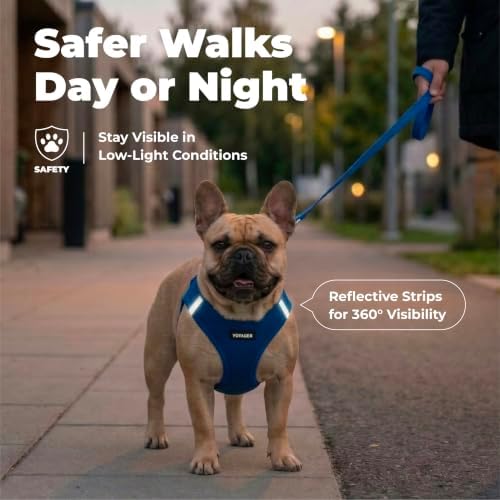 Best Pet Supplies Voyager Step-in Air Harness - All Weather Mesh, Reflective, No Pull Harness for Dogs, Cats - Secure with Hook & Loop Fastener, Buckle, Double D-Rings - Royal Blue, XS - Image 4