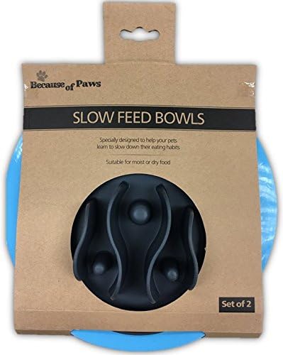 Silicone Interactive Puzzle Dog Slow Feed Bowls - for Small and Large Set Dogs - Fun and Healthy Feeders to Aid with Digestion and Stop Bloating - A Dogs Favorite - Set of 2