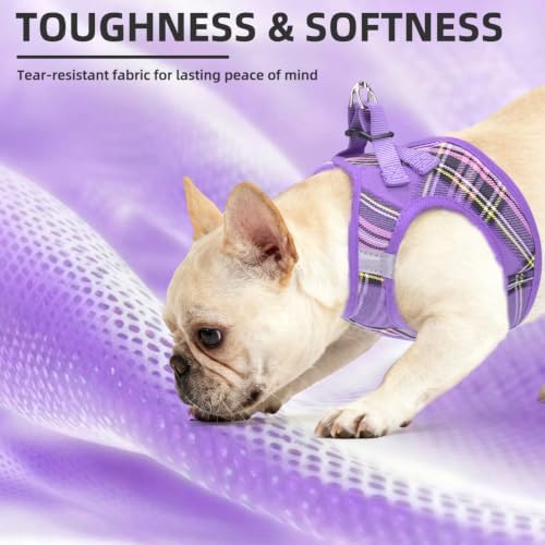PUPTECK Dog Harness, Collar and Leash Set No Pull for Small Medium Sized - Image 6