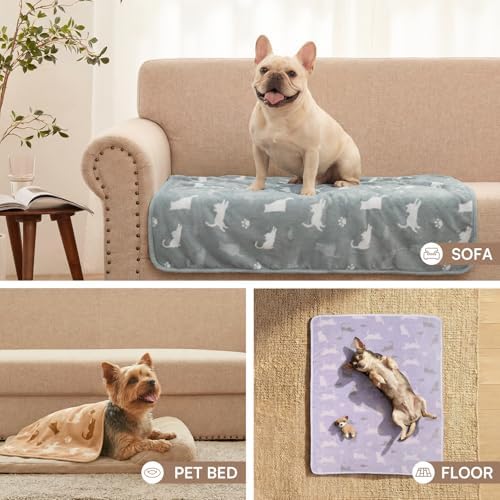 Luciphia Dog Blanket 3 Pack, Soft Cozy Fleece Throw for Puppy Cat,41"x31" - Image 6