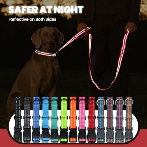 VIVAGLORY Double Handle Dog Leash Twingrip, 5ft x 1in, S, Red - Image 5