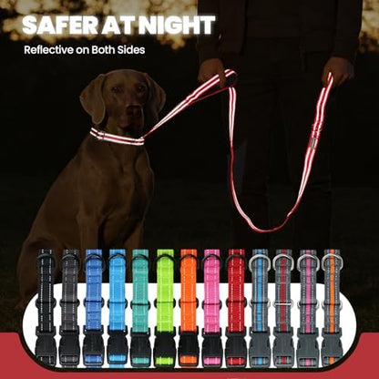 VIVAGLORY Double Handle Dog Leash Twingrip, 5ft x 1in, M2, Red Grey - Image 5