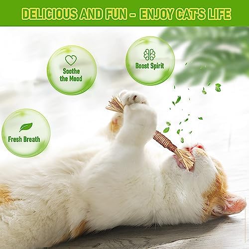 BAWAN Silvervine Sticks Cat Chew Toys for Indoor Cats Dental Care Teeth Cleaning, Natural Kitten & Cat Teething Toys for Health, Cat Chew Stick Suitable for All Breeds of Aggressive Chewers Cat - Image 2