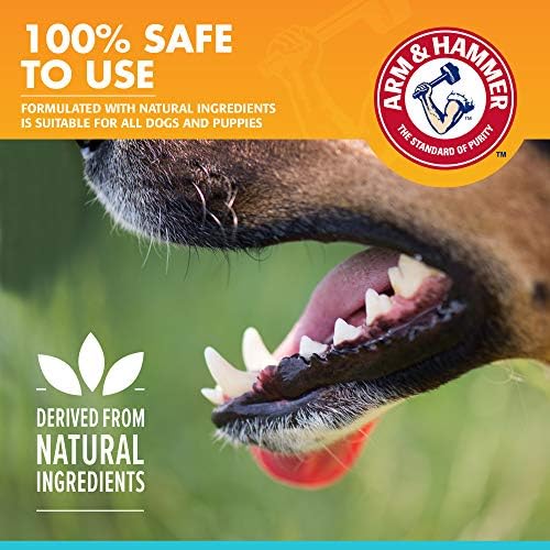 Arm & Hammer Fresh Breath Enzymatic Dog Toothpaste, Vanilla Ginger, 2.5 Oz - Image 4