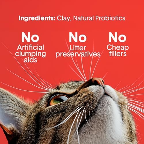 Boxie Extra Strength Clumping Cat Litter Multi Cat 35 Day Odor Control 28lb - Image 4
