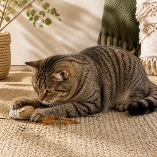 Cat Kitten Teaser Wand Toys, Sisal with Mouse, Bell, Feather, Elastic String, Sturdy Wood Stick, Interactive Fun, Cat Catcher Mice for Pet, Set of 3 - Image 6