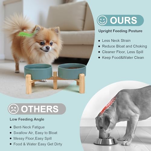 SPUNKYJUNKY Elevated Dog Bowls Ceramic, 5.1'' Dogs and Cat Food Water Bowls Raised with Non-Slip Bamboo Stand for Puppy Small Sized Breed Microwave Dishwasher Safe - 13.5 OZ,Dark Green - Image 3