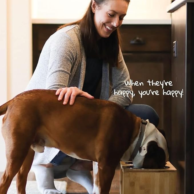 Pawfect Pets Elevated Dog Bowl Stand- 7" Raised Pet Feeder for Medium Dogs with Four Stainless Steel Bowls.