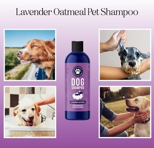 Moisturizing Oatmeal Dog Shampoo for Dry Skin - Calming Lavender Dog Shampoo with Aloe Colloidal Oatmeal and Jojoba Oil for Clean Coat & Skin Relief - Sulfate Paraben Phthalate & Dye Free (8 Fl Oz) - Image 2