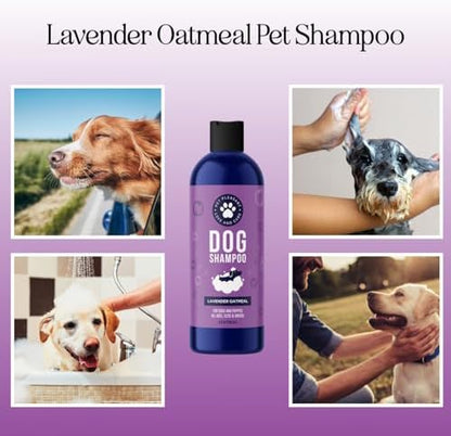 Moisturizing Oatmeal Dog Shampoo for Dry Skin - Calming Lavender Dog Shampoo with Aloe Colloidal Oatmeal and Jojoba Oil for Clean Coat & Skin Relief - Sulfate Paraben Phthalate & Dye Free (8 Fl Oz) - Image 2