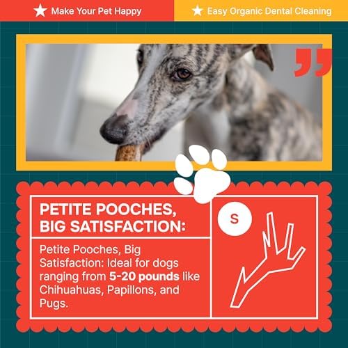 100% Natural - Antlers for Dogs - Naturally Shed in USA - Grade A Long Lasting Chew for Aggressive Chewers - Elk Antlers Dog Antler Chews - Real, Healthy Treats & Toys - No Odor & No Mess - Small - Image 6