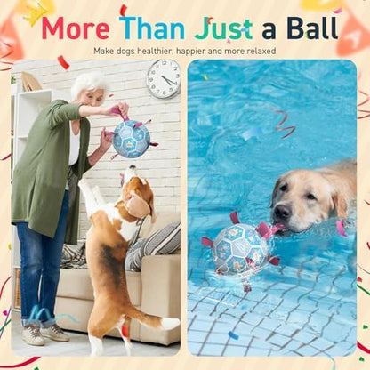 QDAN Dog Birthday Toys, Puppy Birthday Gifts, Dog Soccer Ball with Straps - Image 6