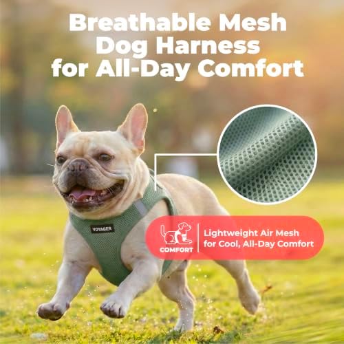 Voyager Step-in Air Dog Vest Harness - Moss Green, X-Small - Image 5