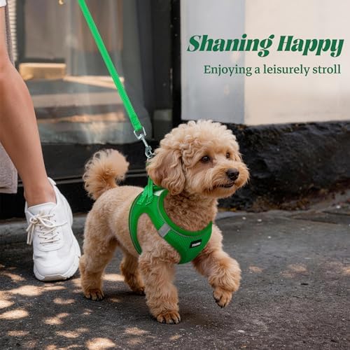 No Pull Dog Puppy Harness and Leash Set Reflective Mesh Vest X-Small - Image 6