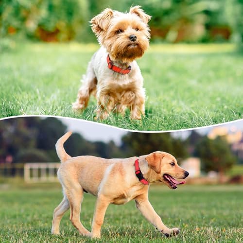Reflective Dog Collar, Adjustable Nylon for Medium Dogs,Tangerine - Image 2
