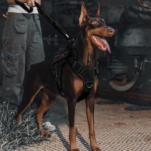 OneTigris Tactical Bungee Leash with 2 Handles Quick Release (Black) - Image 5