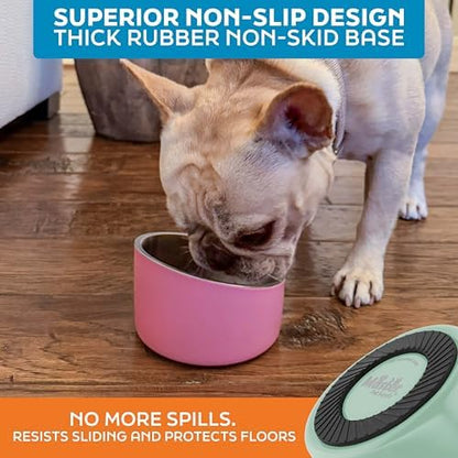 Master Pet Supply Stainless Steel Slanted Dog Cat Food Bowl 8 oz Pistachio - Image 5