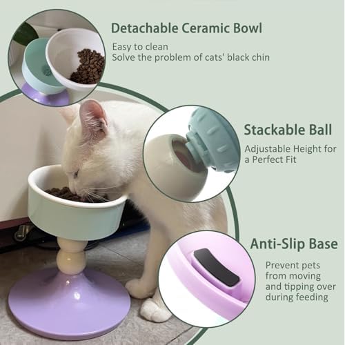 Elevated Cat Bowls, Slanted Ceramic Cat Bowl for Indoor Cats - Image 4